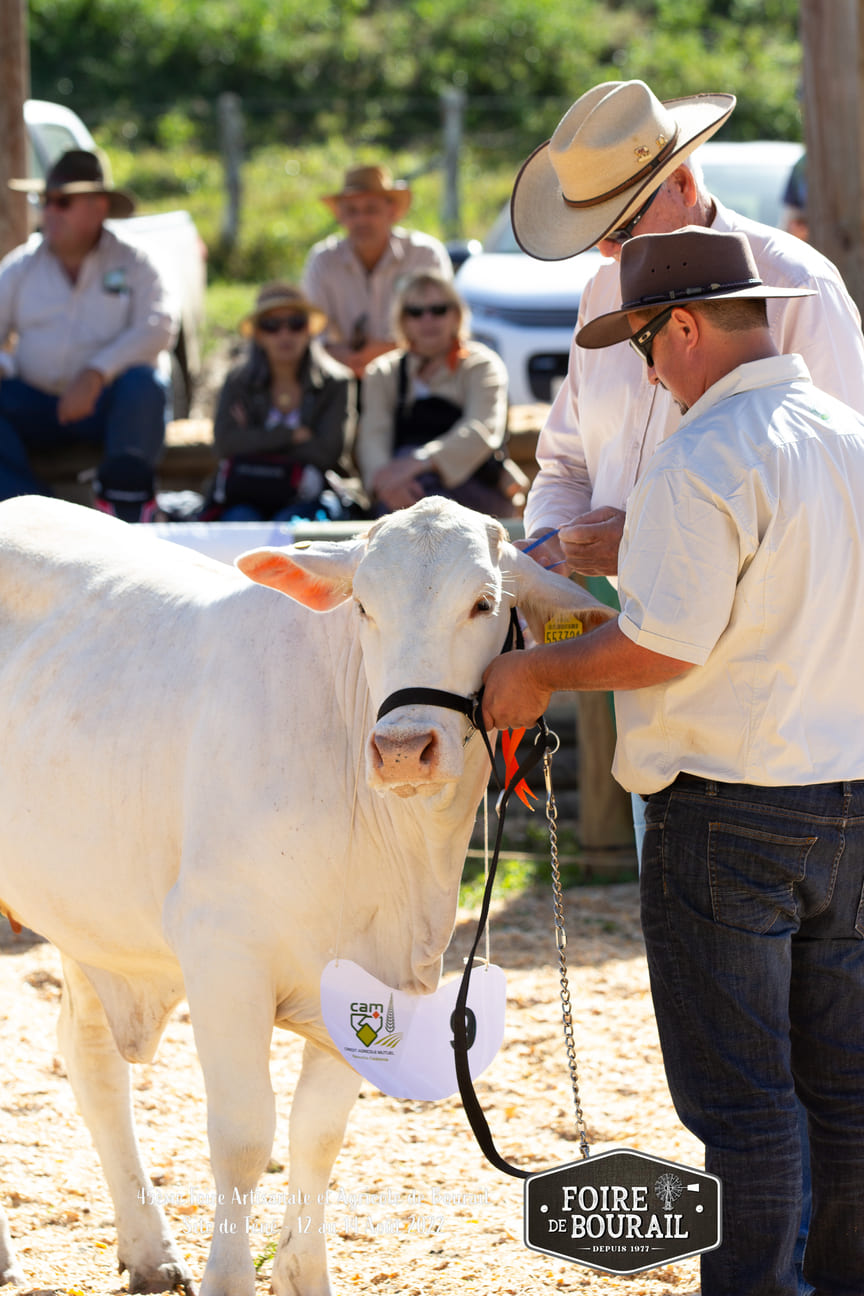 Foire de Bourail 12 août 2022-41.jpg